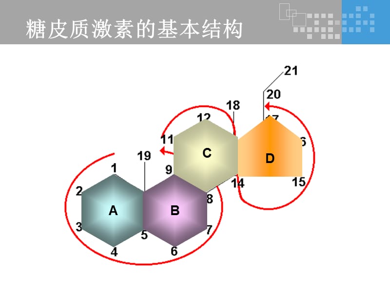 氟轻松是如何发挥其药理作用的？